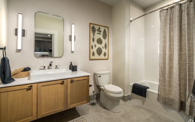 Luxury Bathroom