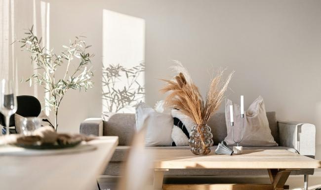 Generous living spaces to relax and unwind a living room with a couch and a table with a vase with flowers